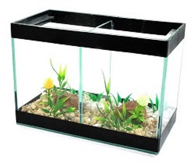 DY'AQUA BETEIRA RETANGULAR 20X10X15CM DUPLA DECOR