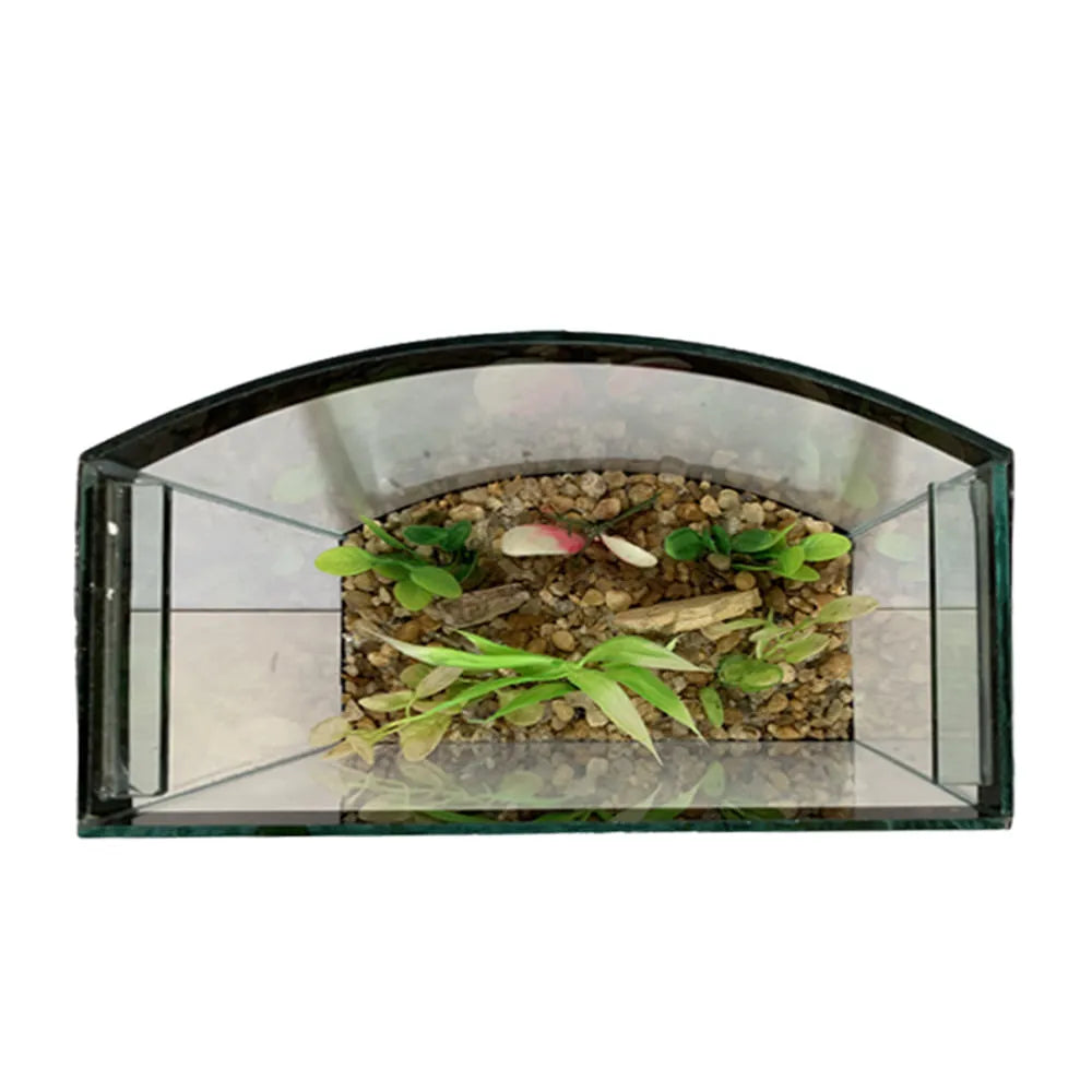 DY'AQUA BETEIRA VISION CURVA 20X11X15 C/ MASSA FUN