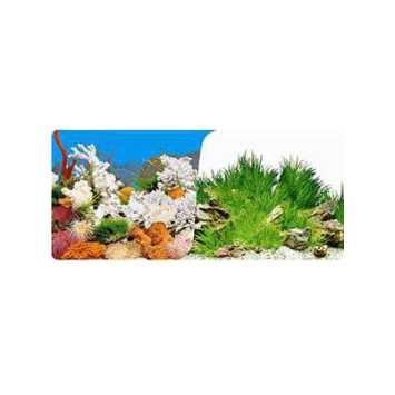 SKRw PAINEL IMAGEM DECOR 30CM 15MT COD-9029/9030