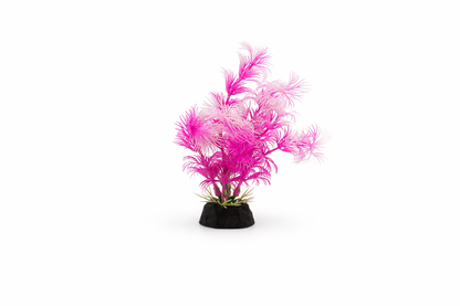 SKRw PLANTA ARTIFICIAL RASTEIRA lLR/RS