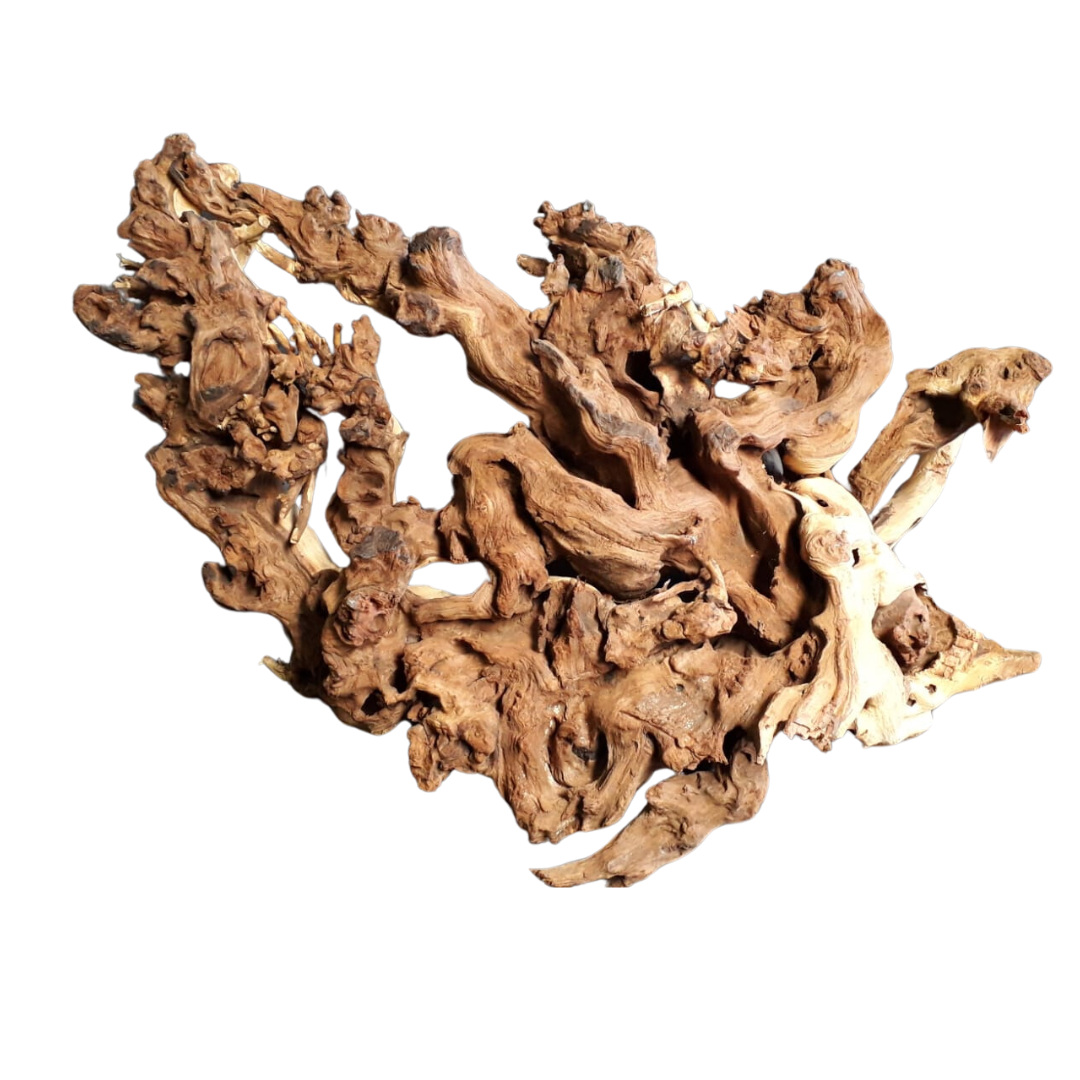 SKRw RAIZ ORNAM. ANNATO WOOD ROOT 10-30 CM KL