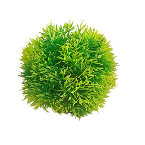 SKRw PLANTA ARTIFICIAL M-456 10CM MOITA BOLA VERDE