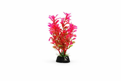SKRw PLANTA ARTIFICIAL RASTEIRA lLR/RS