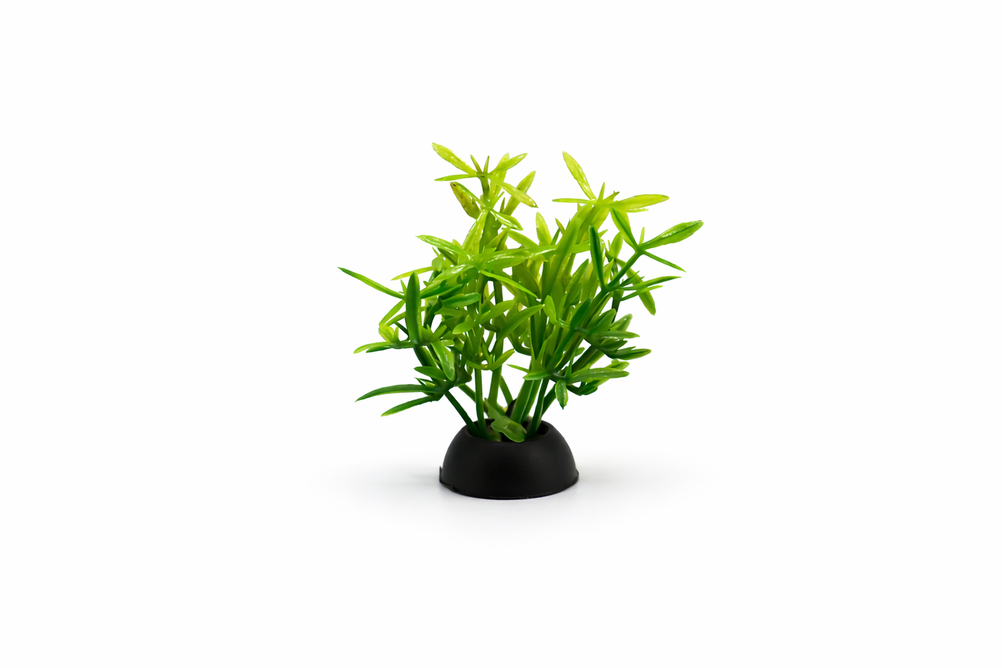 SKRw PLANTA ARTIFICIAL RASTEIRA lLR/RS