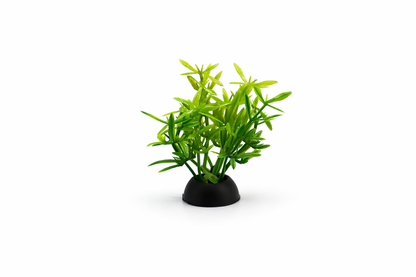 SKRw PLANTA ARTIFICIAL RASTEIRA lLR/RS