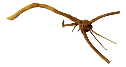 SKRw RAIZ NATURAL Nº1 FINA DE 08 A 18CM  - PQ UND.