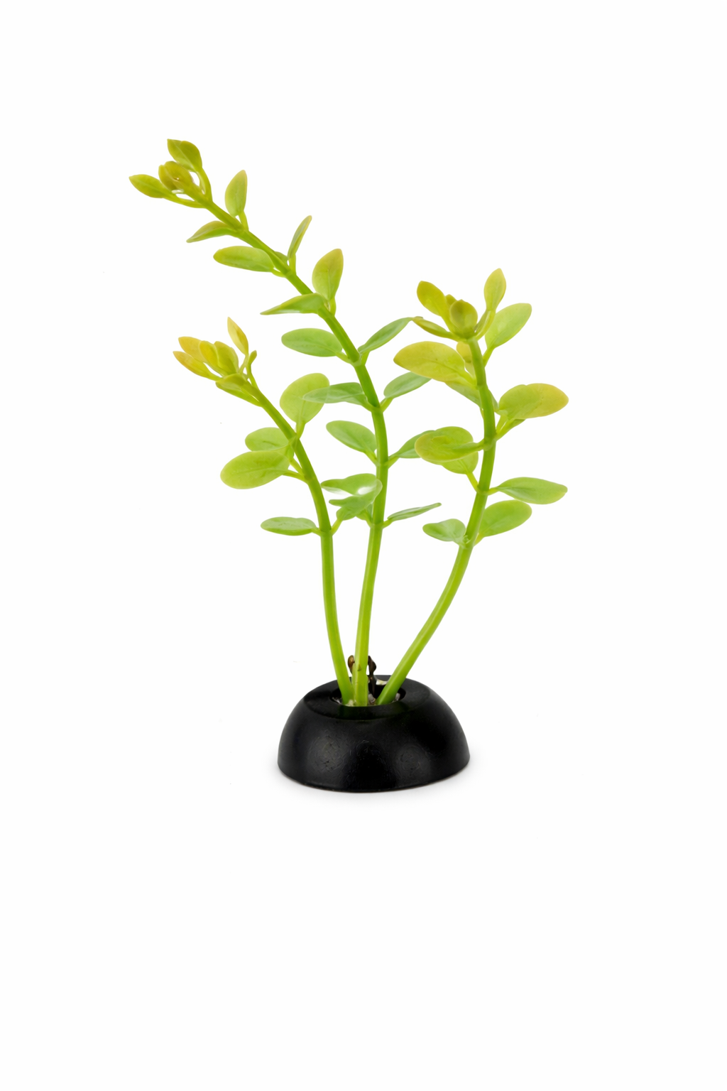 SKRw PLANTA ARTIFICIAL - X-313 MINI 8CM -  UNITAR.
