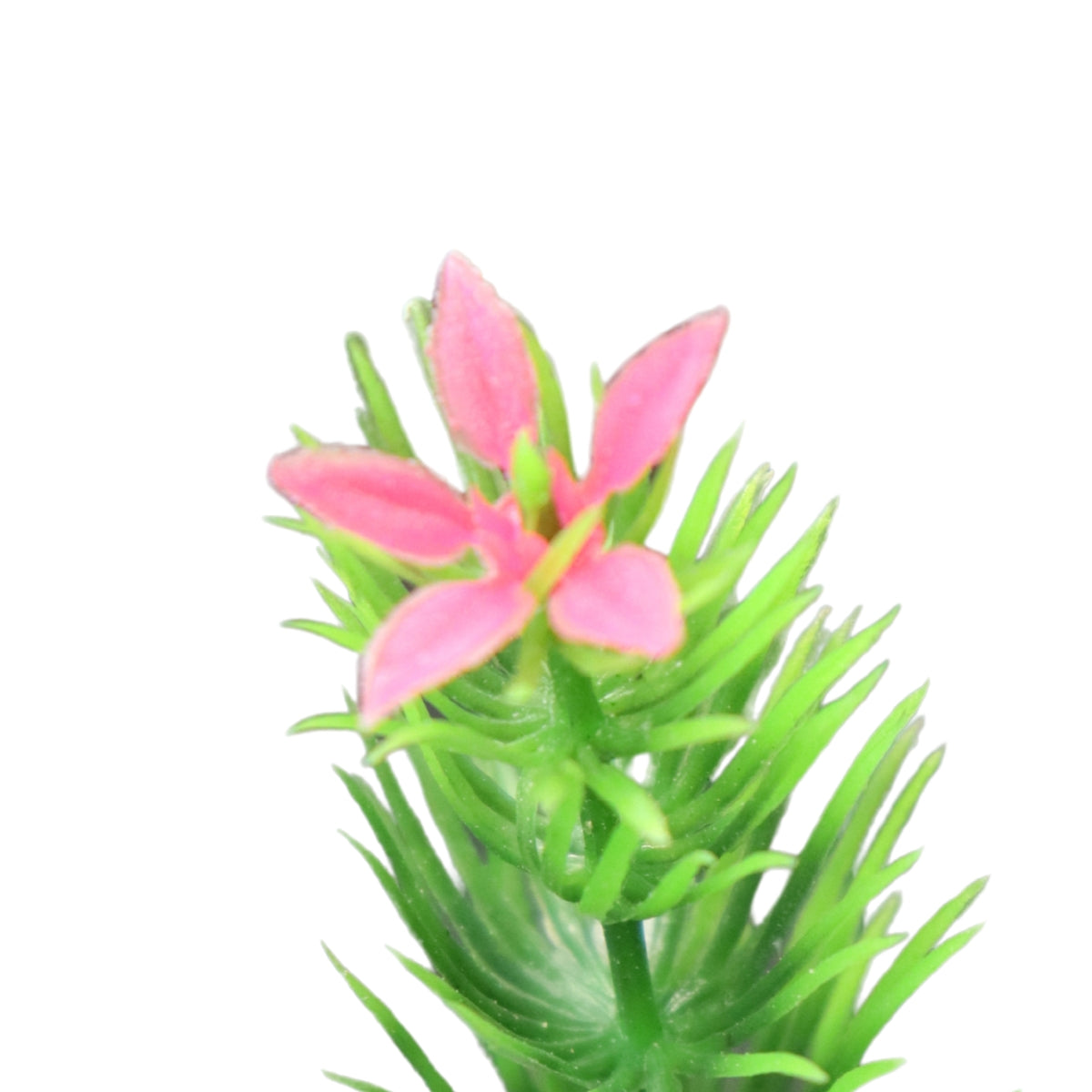 SKRw PLANTA ARTIFICIAL - X-317 MINI 8CM -  UNITAR.