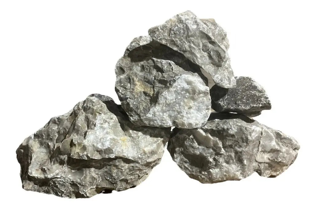 SKRw ROCHA -030 CHRYSANTHEMUM FOSSIL 1 KL