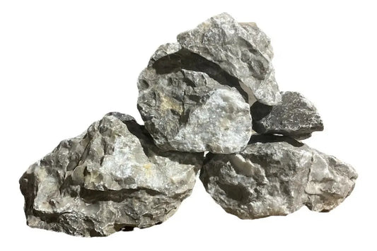 SKRw ROCHA -030 CHRYSANTHEMUM FOSSIL 1 KL