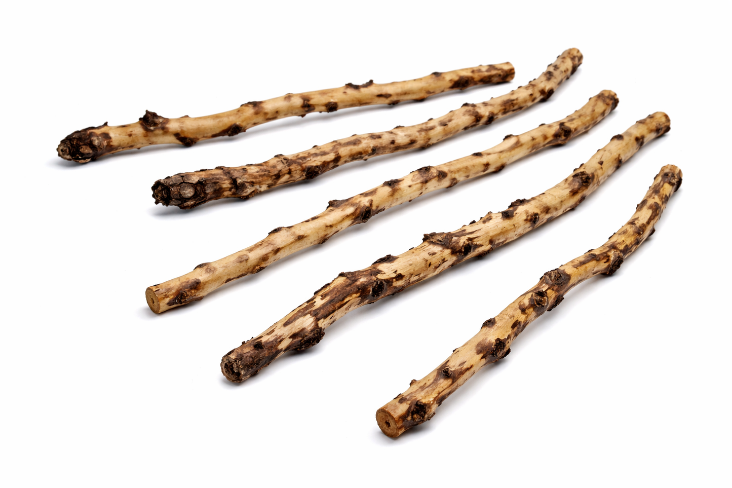 SKRw RAIZ ORNAM. SAVA WOOD  20-80CM  KL