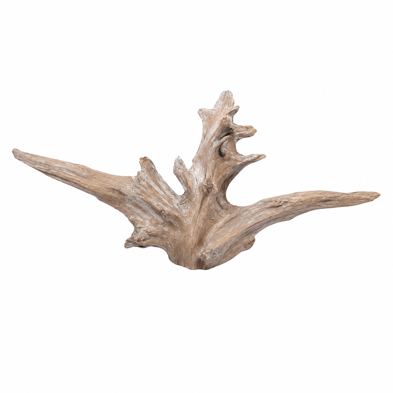 SKRw RAIZ ORNAM. 3Y/C  LUCKY WOOD DE 40-70 CM  KL