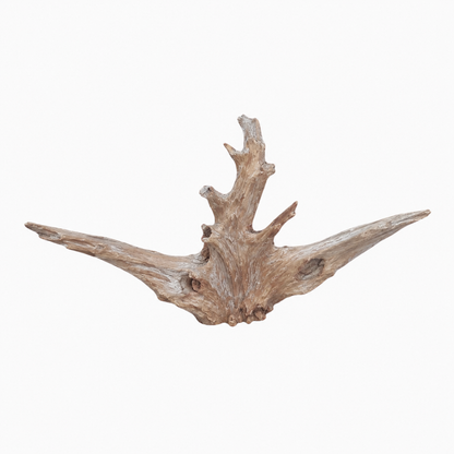 SKRw RAIZ ORNAM. 3Y/C  LUCKY WOOD DE 40-70 CM  KL