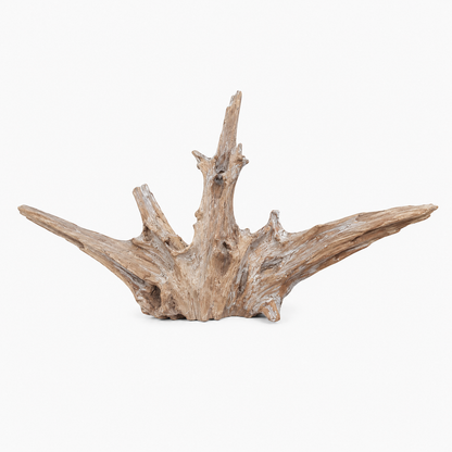 SKRw RAIZ ORNAM. 3Y/C  LUCKY WOOD DE 40-70 CM  KL