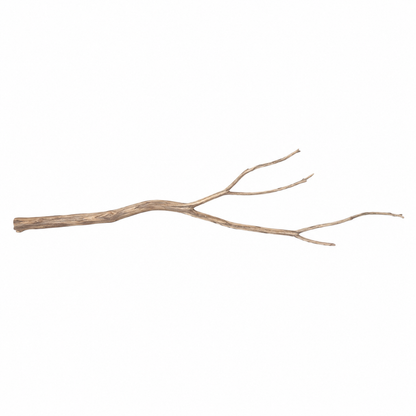 SKRw RAIZ ORNAM. ANNATO WOOD BRANCHES 80 A 200CM