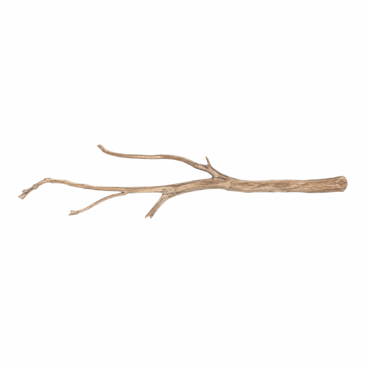 SKRw RAIZ ORNAM. ANNATO WOOD BRANCHES 80 A 200CM