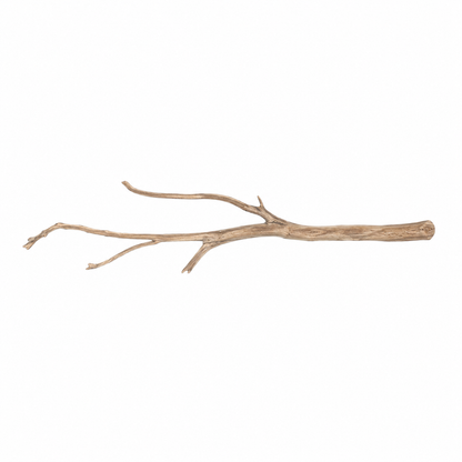 SKRw RAIZ ORNAM. ANNATO WOOD BRANCHES 80 A 200CM