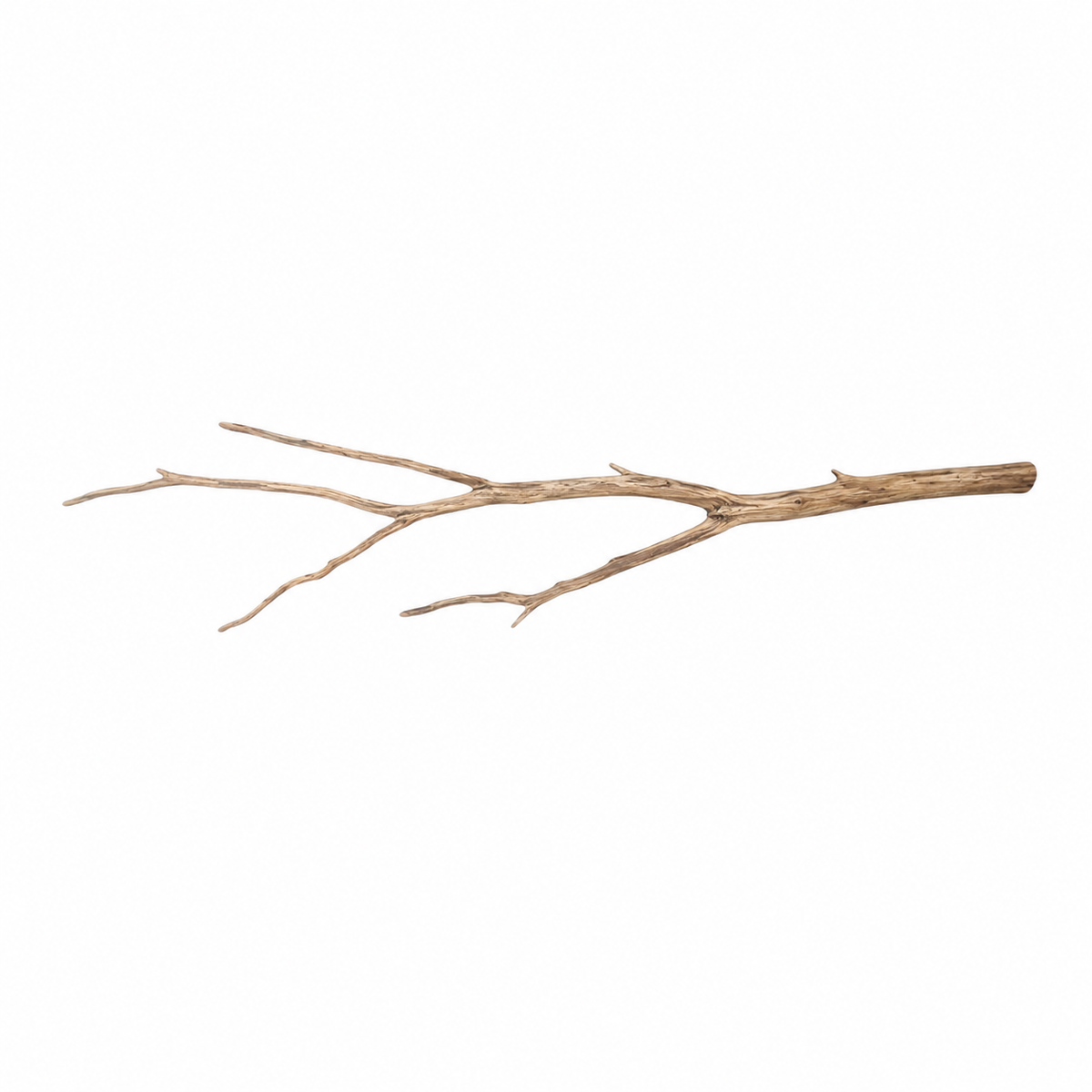 SKRw RAIZ ORNAM. ANNATO WOOD BRANCHES 80 A 200CM