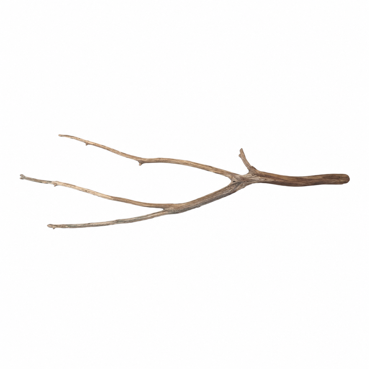 SKRw RAIZ ORNAM. ANNATO WOOD BRANCHES 80 A 200CM