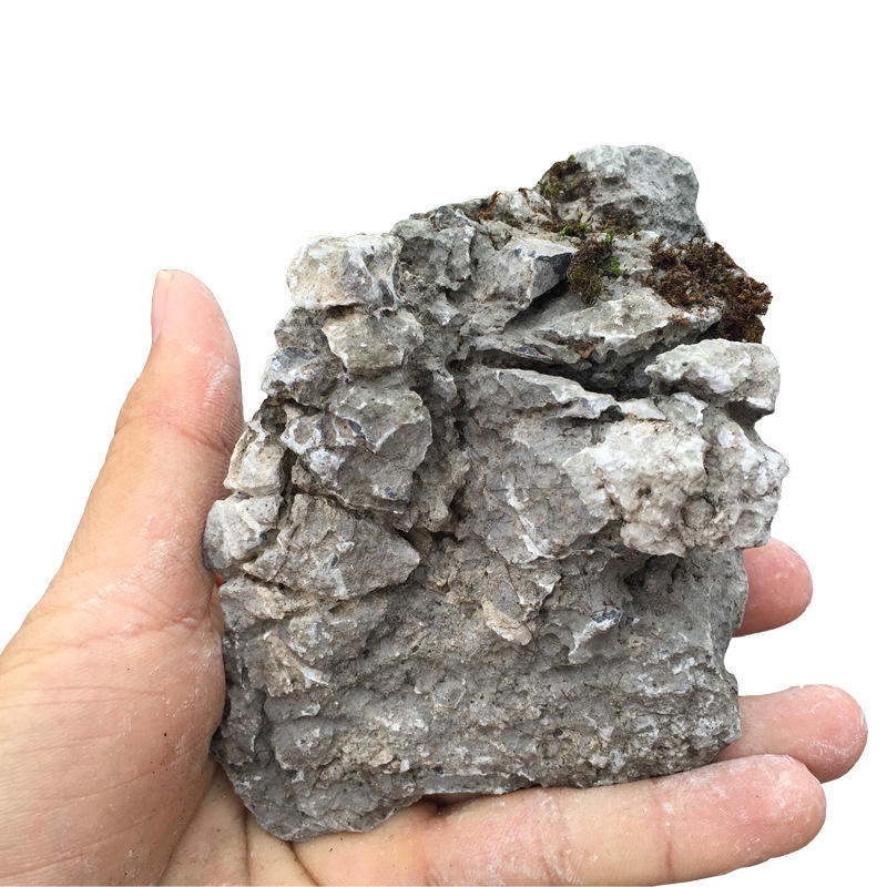 SKRw ROCHA -019 SEIRYU STONES  5-10CM - KL