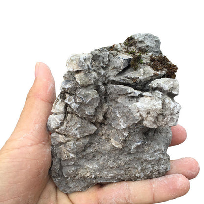 SKRw ROCHA -019 SEIRYU STONES  5-10CM - KL