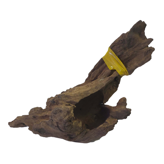 SKRw RAIZ ORNAM. BASIN Nº2  DE 25 A 35CM  - AM. UN