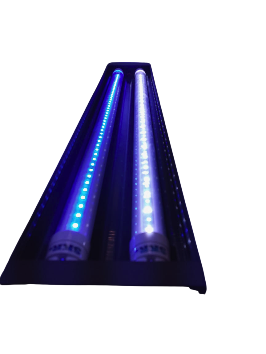 SKRw LIGHT BOX L-70 2 LAMPAD. AZ/BR+AZUL 70-85CM