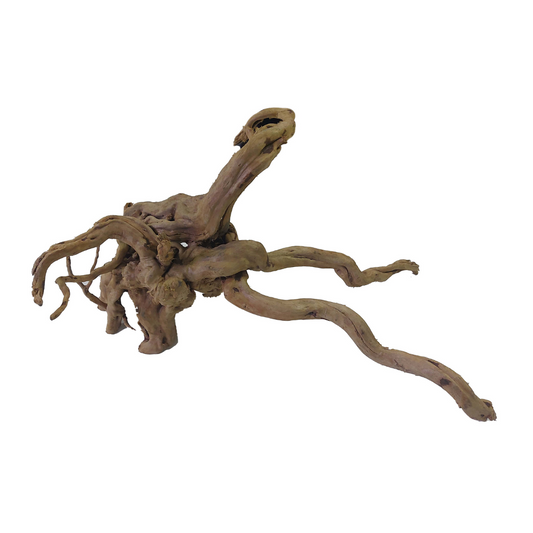 SKRw RAIZ NATURAL Nº6 FINA DE 36 A 47CM  - BR. UND