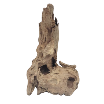 SKRw RAIZ ORNAM. DRIFT WOOD 10-39 CM - KL