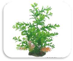 SKRw PLANTA ARTIFICIAL K-717 12X28CM VERDE/FOLH.RE