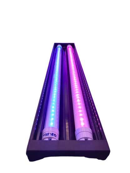 SKRw LIGHT BOX L-70 2 LAMPAD. AZUL + ROSA 70-85CM