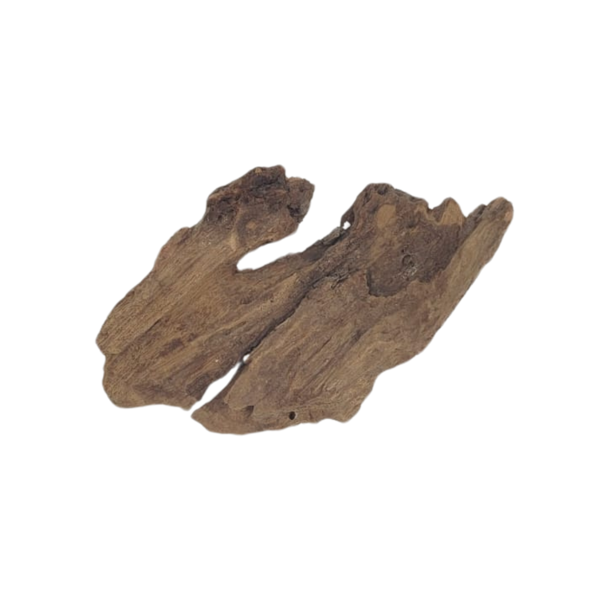 SKRw RAIZ ORNAM. DRIFT WOOD 10-39 CM - KL