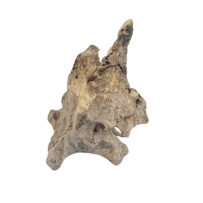 SKRw RAIZ ORNAM. DRIFT WOOD 10-39 CM - KL