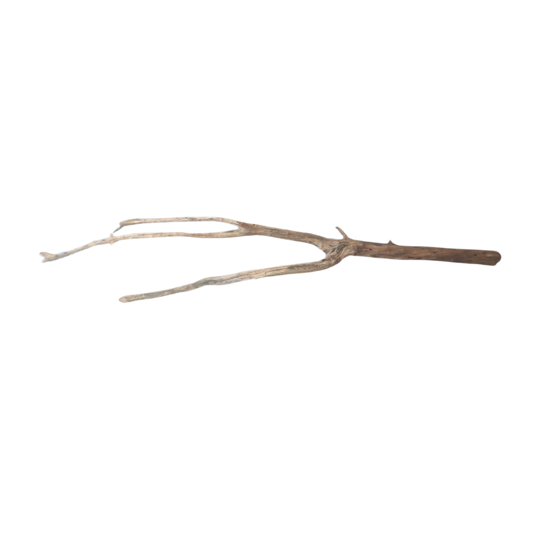 SKRw RAIZ ORNAM. ANNATO WOOD BRANCHES 80 A 200CM