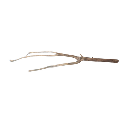 SKRw RAIZ ORNAM. ANNATO WOOD BRANCHES 80 A 200CM