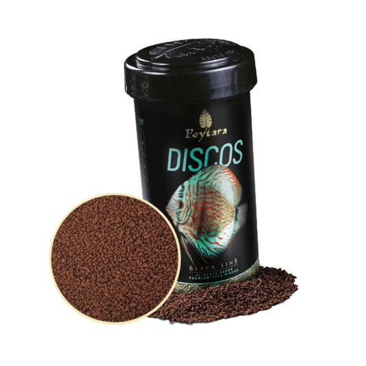 POYTARA DISCO BLACK LINE  35G