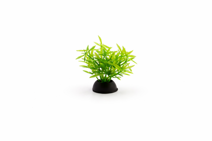 SKRw PLANTA ARTIFICIAL RASTEIRA lLR/RS