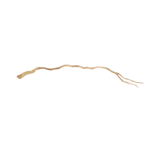 SKRw RAIZ ORNAM. SNAKE SHAPE 2H  15 A 60CM KL