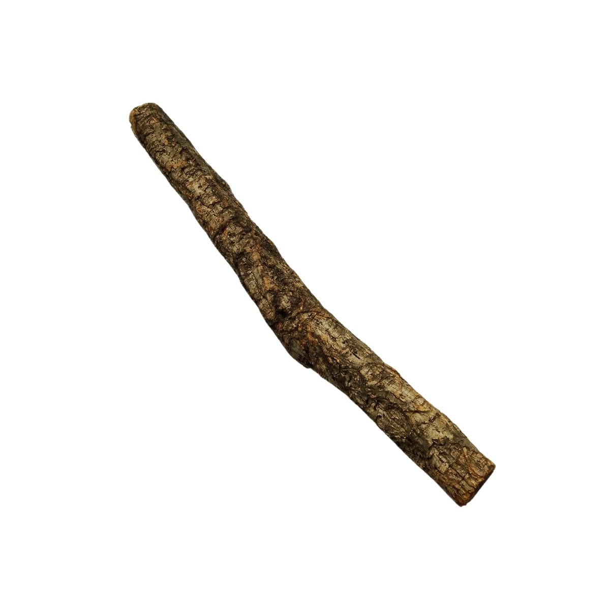 SKRw RAIZ ORNAM. STRAIGHT TORA RETA DE 30-60CM KL