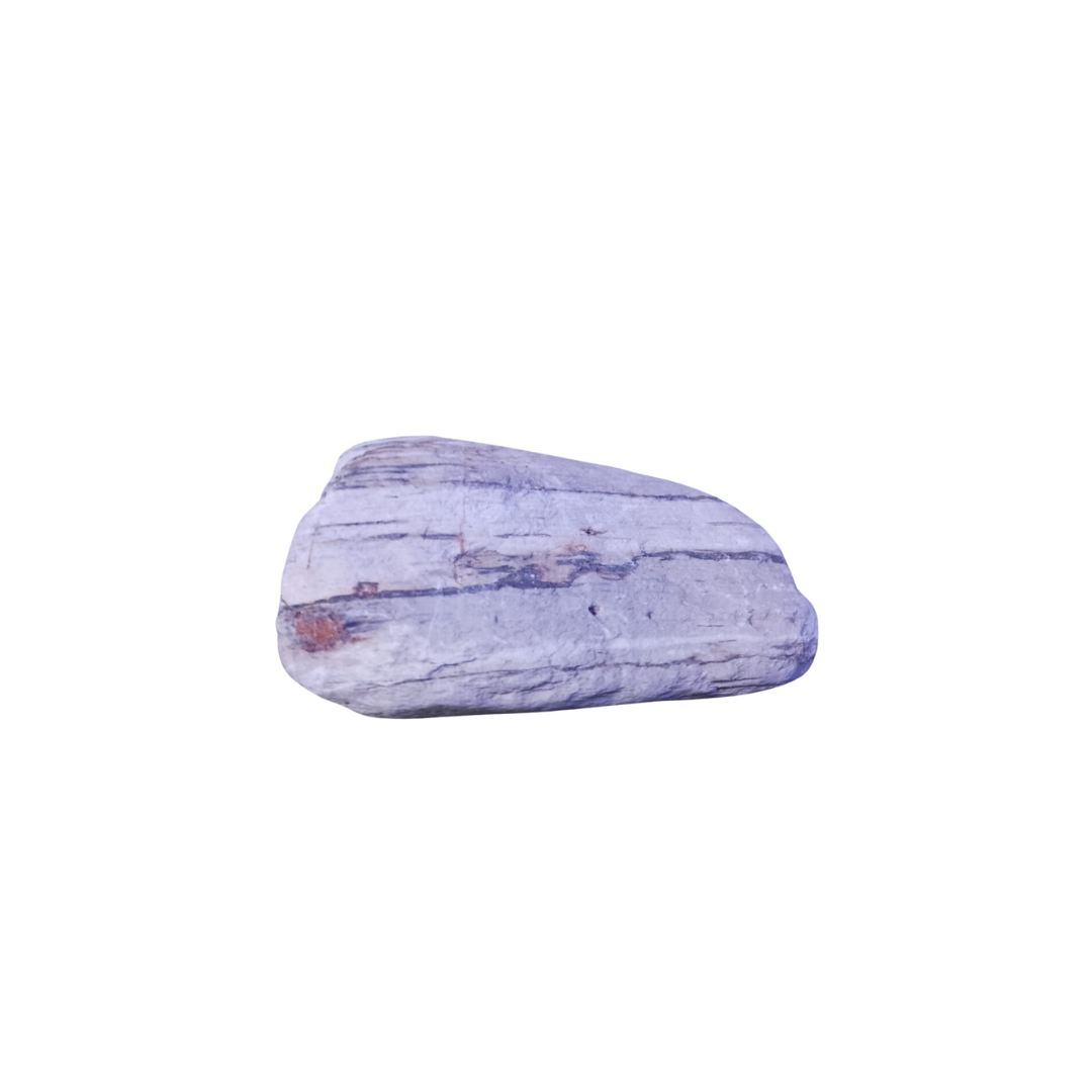 SKRw ROCHA -203 SHINING PLUME 5-30 CM - KL