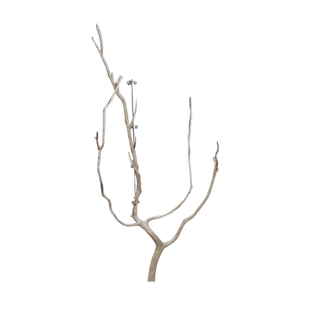 SKRw RAIZ ORNAM. ROSEWOOD BRANCHE 100-200CM KL