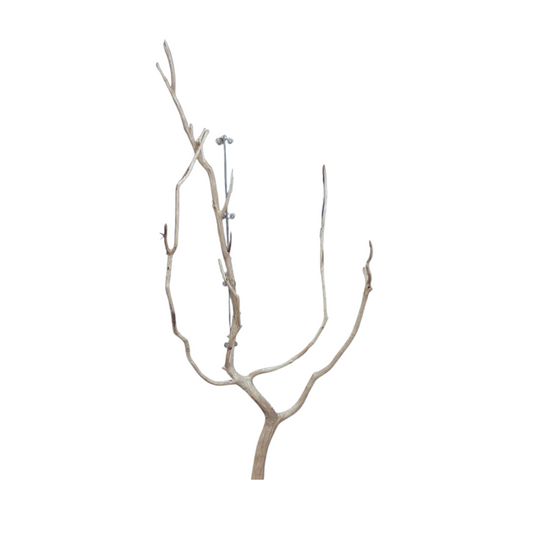 SKRw RAIZ ORNAM. ROSEWOOD BRANCHE 100-200CM KL