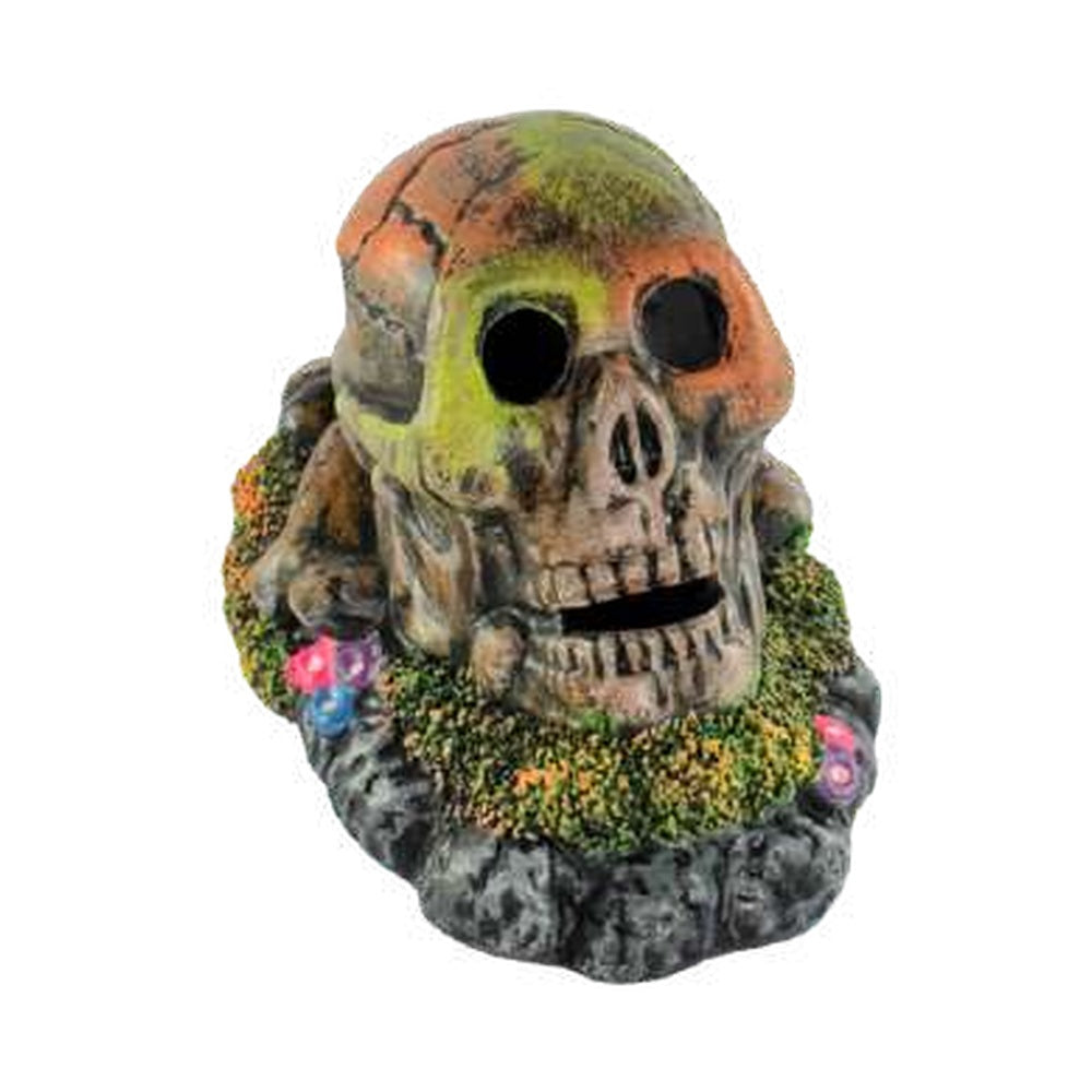 TREMA DECOR.T-36D CAVEIRA GRANDE