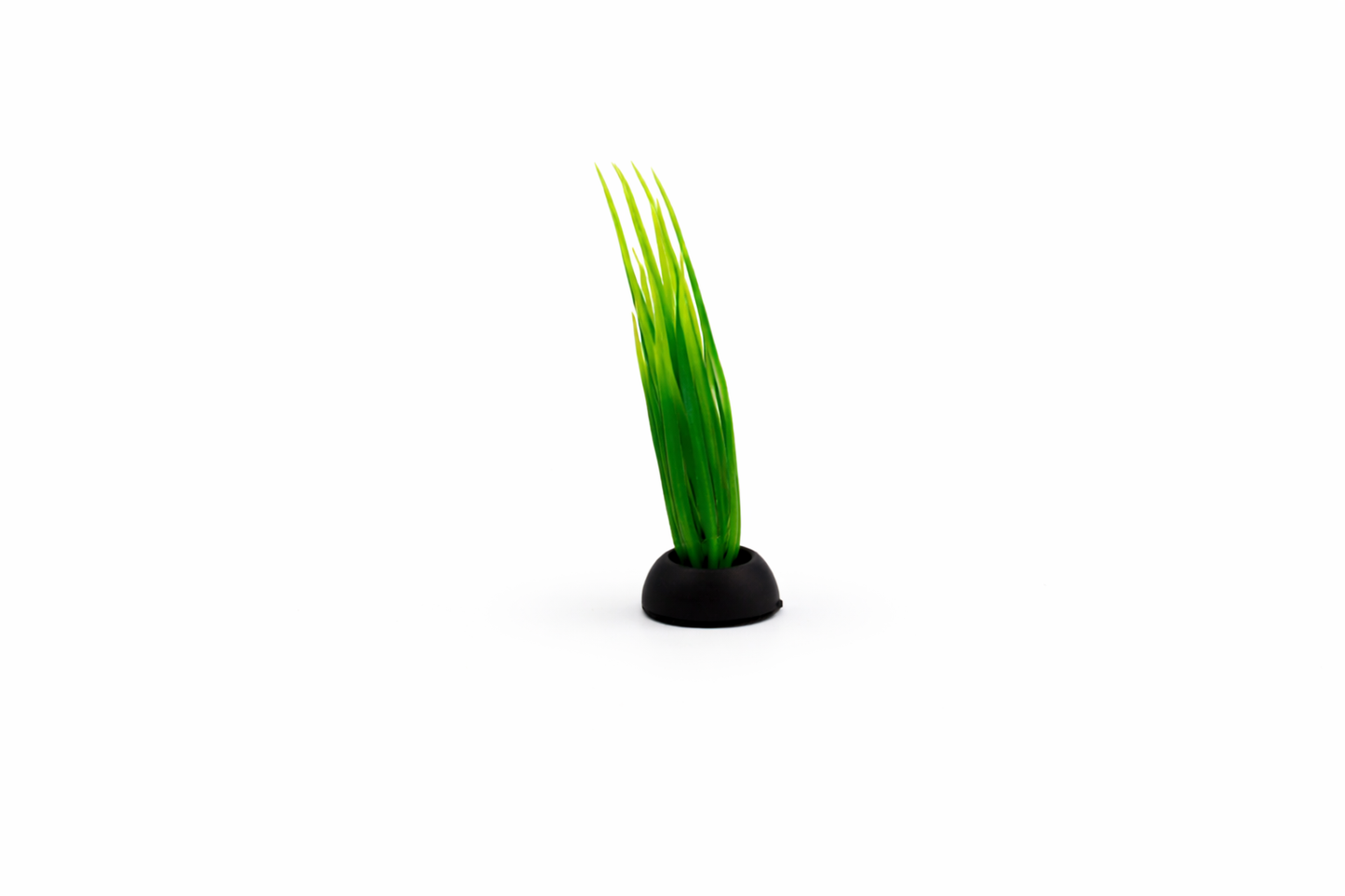 SKRw PLANTA ARTIFICIAL RASTEIRA lLR/RS