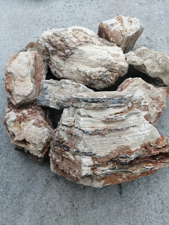 SKRw ROCHA -009 MELALEUCA PETRIFICADA STONE 1 KL