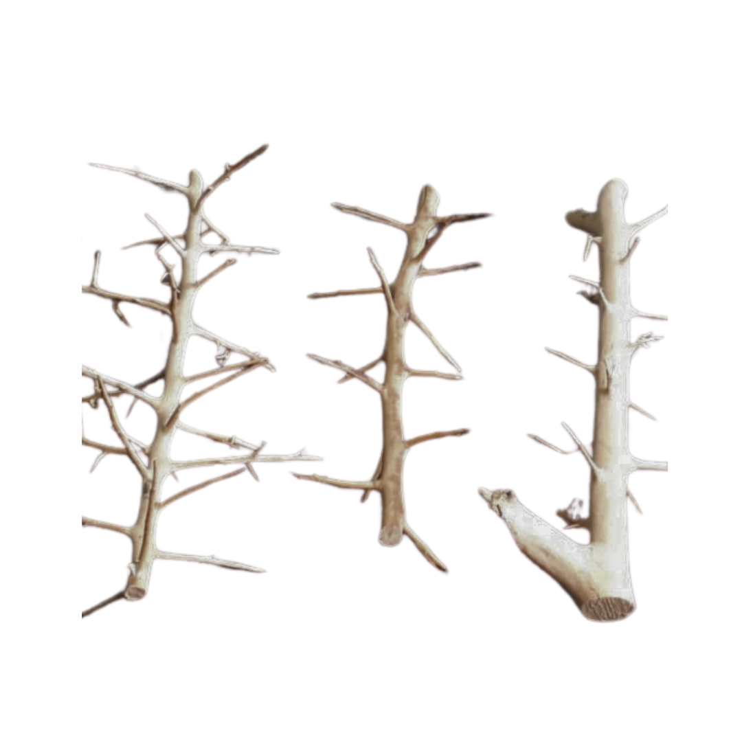 SKRw RAIZ ORNAM. LONG HANDS WOOD 20-70  KL
