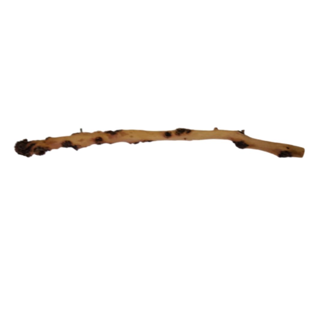 SKRw RAIZ ORNAM. SAVA WOOD  20-80CM  KL