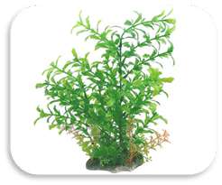 SKRw PLANTA ARTIFICIAL K-716 12X28CM VERDE