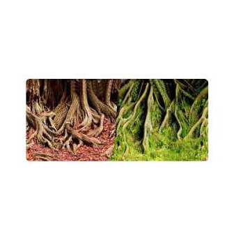 SKRw PAINEL IMAGEM DECOR  40CM 15MT COD-8009/8010