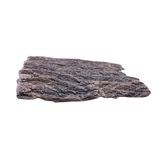 SKRw RAIZ ORNAM. CORK BARK -  40-70 CM - KL